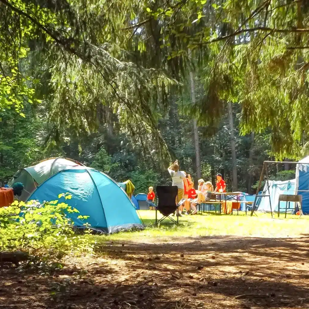 Acsi camping card 