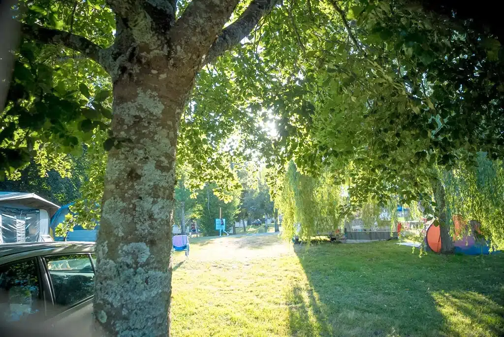 emplacement tente du camping paradis les chanterelles