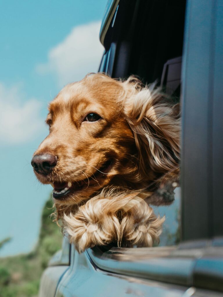 ja san miguel QQuvAwQ 0 unsplash