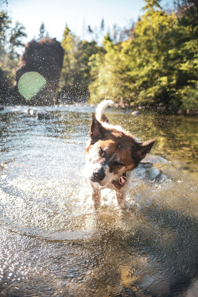mckayla crump 281h1fSaWz8 unsplash
